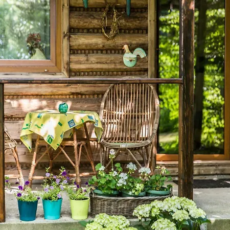 Dom Drewniany Ozwa Gronkow