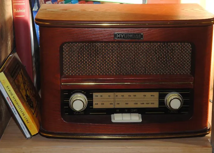 Szálloda Dom Drewniany Ozwa